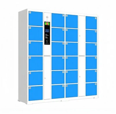 Elektroniese Pakketkaste
